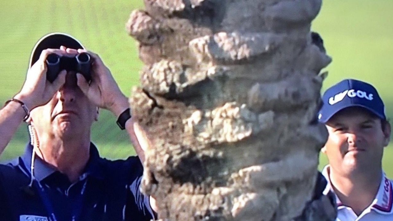 Golf villain mired in controversy again after ball gets stuck in a tree as McIlroy jumps into lead