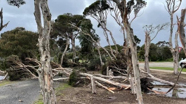 The golf course in Phillip Island has closed due to fallen trees. Picture: Phillip Island Golf Club