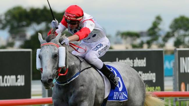 Upstart Pride wins the 2017 Goldmarket Handicap on the Gold Coast. Picture: Grant Peters, Trackside Photography