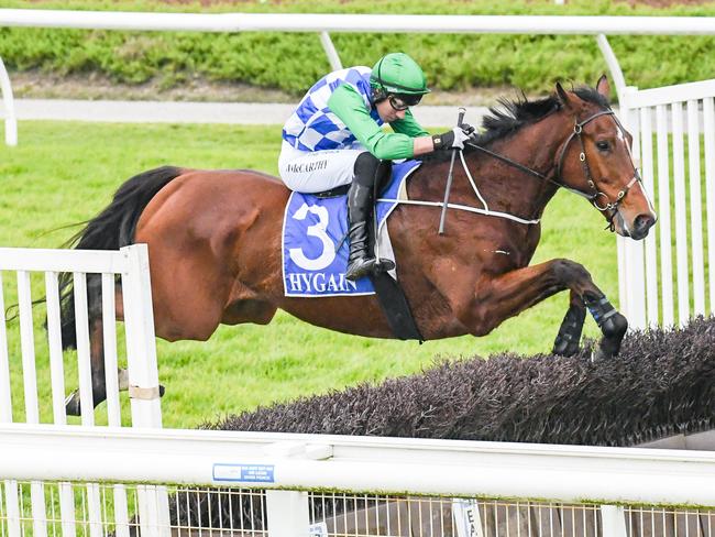 Stern Idol (IRE) ridden by William McCarthy jumps during the Ecycle Solutions - Mosstrooper Steeplechase at Sportsbet Pakenham on July 16, 2023 in Pakenham, Australia. (Brett Holburt/Racing Photos via Getty Images)