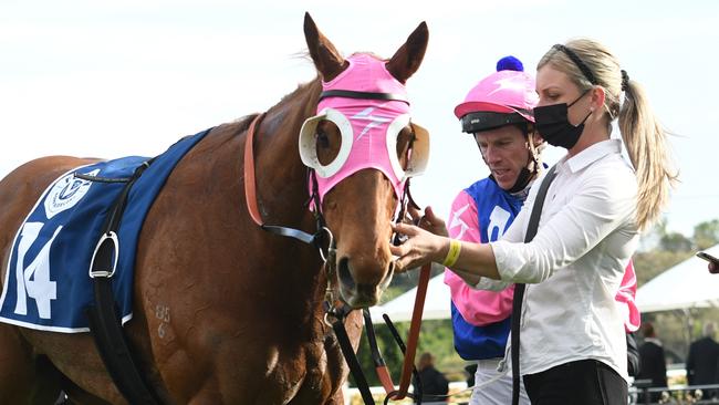 Jamie Kah strapping Bless Her at Flemington on Derby Day. Picture: Getty Images