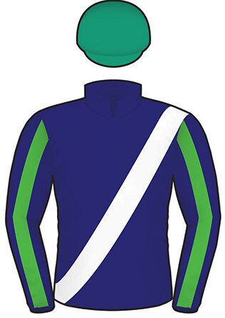 2019 Melbourne Cup runner Rostropovich.