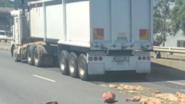 West Gate Freeway Traffic Chaos After Offal Spill | News.com.au ...