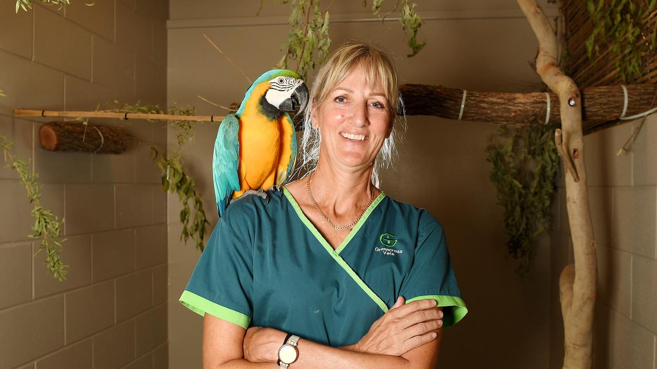 North coast bird & exotic store specialty hospital