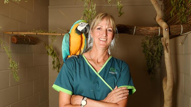 Dr Ingrid Huisman is an exotic avian veterinarian specialist at Greencross Vets in Townsville. Pictured here with eight-year-old blue and gold macaw, Ruckus. Picture: Shae Beplate.