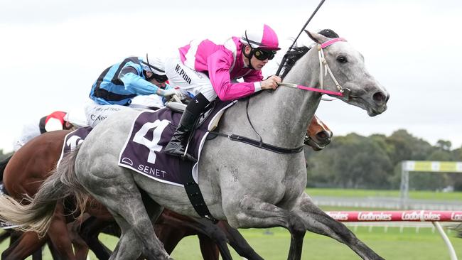 Frigid ridden by Wiremu Pinn (NZ) wins the Senet Gambling Law Experts Handicap  at Ladbrokes Park Hillside Racecourse on June 10, 2023 in Springvale, Australia. (Photo by Scott Barbour/Racing Photos via Getty Images)