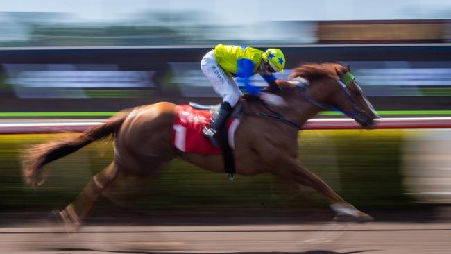 All the glitz and glamour from the 2020 Great Northern Darwin Cup Carnival. Kronos wins Race 2, Jockey Wayne Davis, Trainer Phil Cole. Picture: Che Chorley