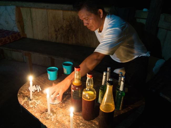 The hallucinogenic tea is administered in traditional ceremonies.