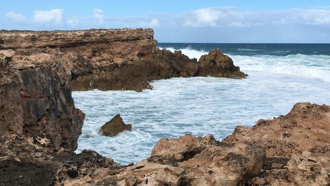 The attack took place near Elliston on the Eyre Peninsula.