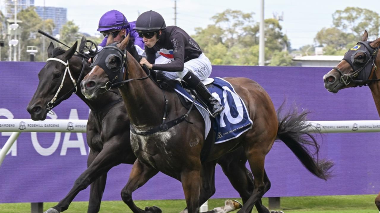 Rush Attack can bounce back to form when he steps out at Newcastle. Picture: Bradley Photos