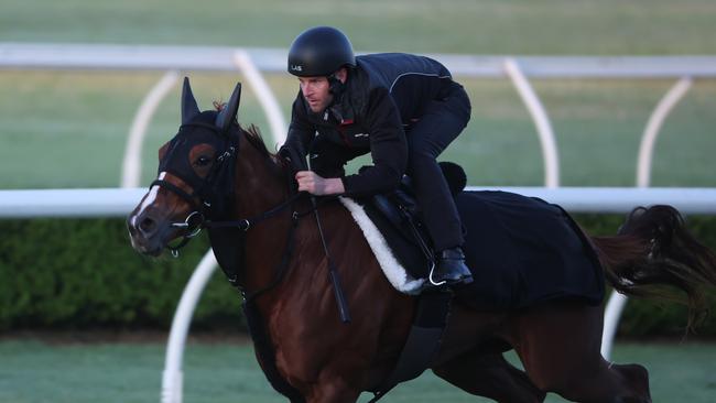 Corazon Beat was given a hitout at Canterbury Park by jockey Tommy Berry. Picture: Rohan Kelly