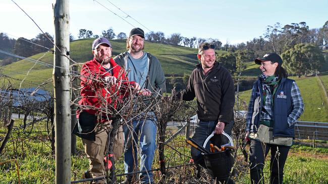 University of Adelaide researchers Lucas De Simoni, Patrick O'Brien, Dr Roberta De Bei with grower Tim Bartsch of Lenswood Rise at Lobethal, where fire burnt 7 hectares of his vineyard. Picture: Tom Huntley