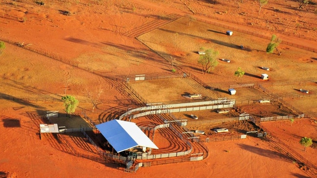 Canada's PSP Investments, through its Hewitt Cattle Australia business, paid $96m for the adjoining Narwietooma, Napperby, Glen Helen and Derwent stations, totalling 1.1 million hectares in the Northern Territory.