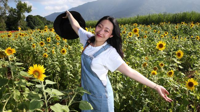 Collective hysteria overcomes Freshwater every time the sunflowers bloom. PICTURE: ANNA ROGERS