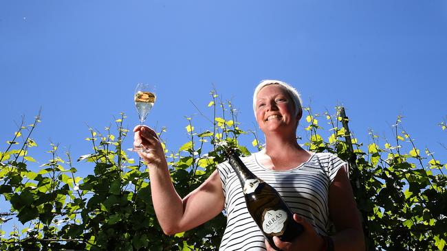 Bay of Fires Wines winemaker Penny Jones in the vineyard at Pipers River with a bottle of 2008 House of Arras Blanc de Blanc. Picture: CHRIS KIDD