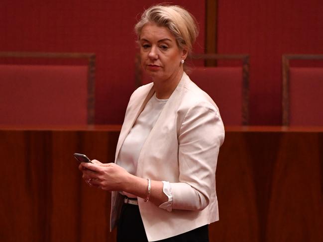 Minister for Agriculture Bridget McKenzie. Picture: Mick Tsikas