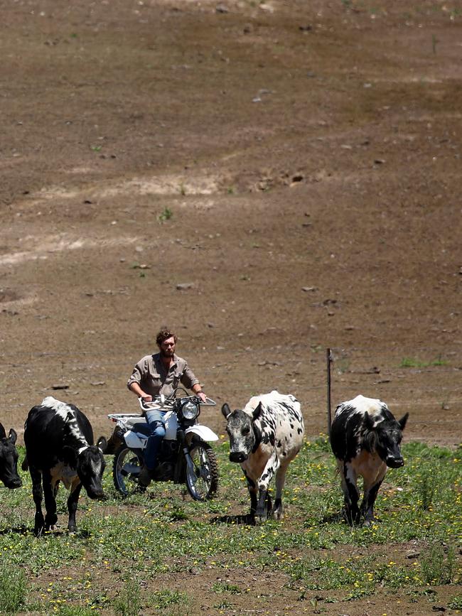 Farmers are less than impressed with the weather forecast. Picture: Toby Zerna