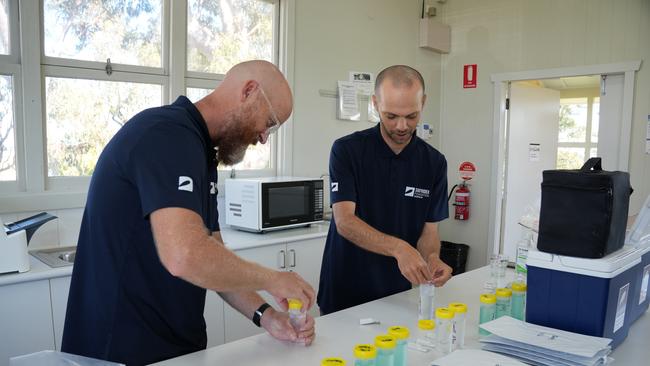 On Friday, non-for-profit organisation Surfrider Foundation volunteer Harry Gordon said they held their monthly “sampling event” where they test the water at several swimming locations on the Gold Coast. Photo: David Gonzalez – IDEXX.