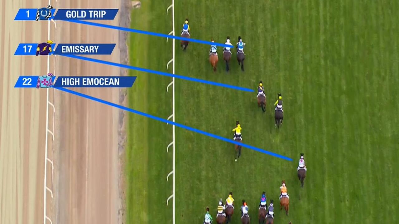 Gold Trip was won the Melbourne Cup.