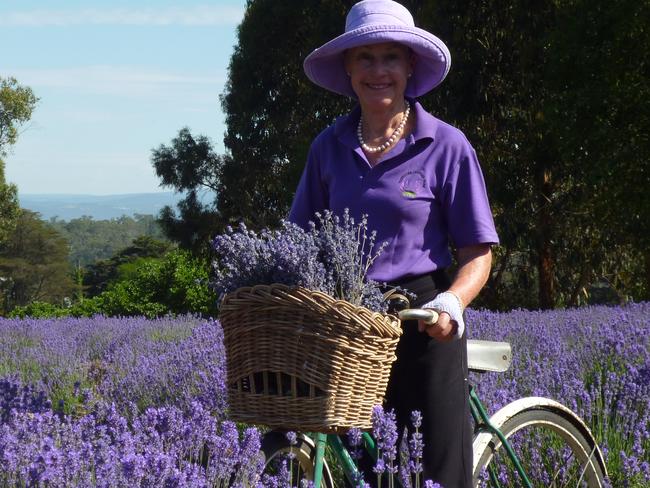 Warratina Lavender Farm. Annemarie Manders for Helen Young, Dec 19