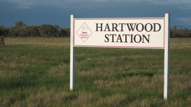 Hartwood Station near Conargo.