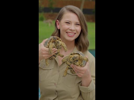 Bindi Irwin reflects on her journey with endometriosis