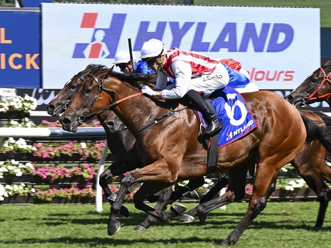 Passive Aggressive wins the Challenge Stakes at Randwick in March. Picture: Bradley Photos