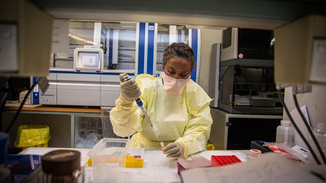 Specialist doctors check samples for coronavirus in the microbiology and pathology labs at Royal Melbourne Hospital. Picture: Jason Edwards