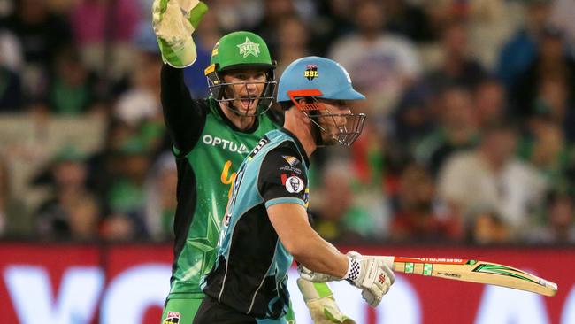 Peter Handscomb appeals as Chris Lynn is dismissed lbw. Picture: AAP