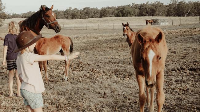 Home schooling for Bodhi and Sloane Sikkema. Picture: Tam Perry