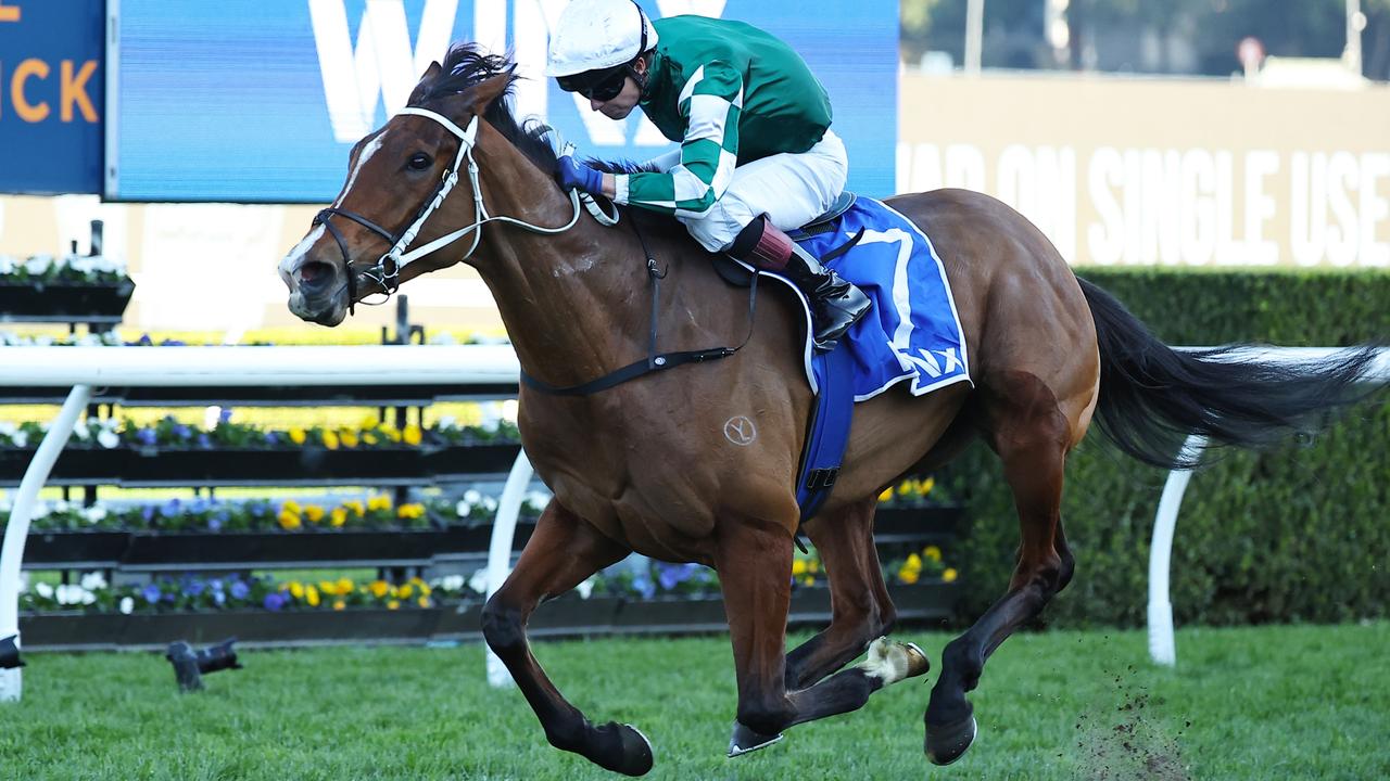 Via Sistina takes out the Winx Stakes at Randwick on Saturday. Photo: Jeremy Ng/Getty Images.