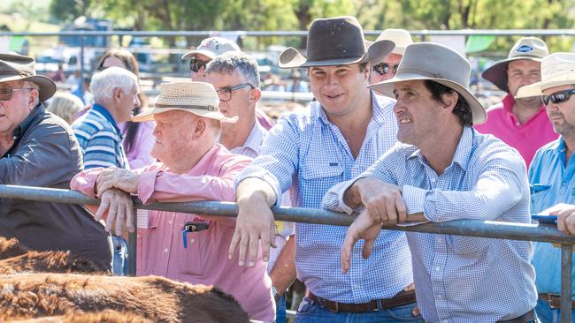 Crowds look on at the sales at Ensay on Wednesday.