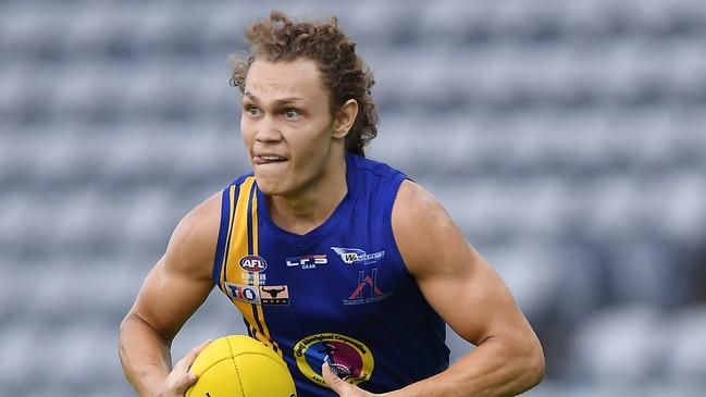 Wanderers' Beau O'Connell looks downfield. Picture: Felicity Elliott