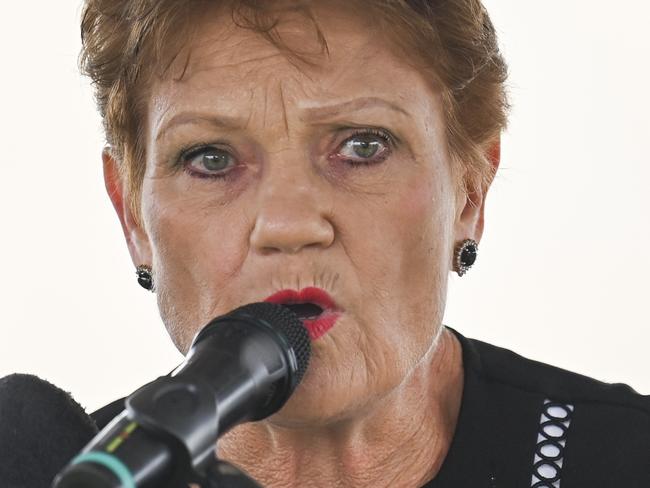 CANBERRA, AUSTRALIA - MARCH 23: Senator Pauline Hanson speakes at Anti-transgender activist Kellie Jay-Keen rally at Parliament house in Canberra. Picture: NCA NewsWire / Martin Ollman