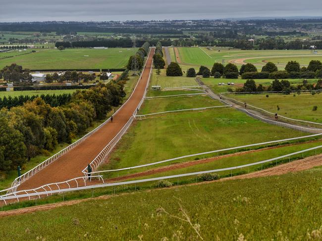 Riders put horses through their paces on the hill track. Picture: Tony Gough