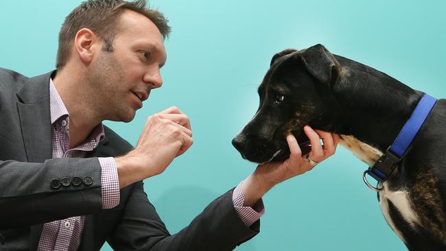 National Veterinary Care owns and operates veterinary clinics in Australia and New Zealand. Managing Director Tomas Steenackers with Chevy at its Yatala clinic. Picture: Glenn Hampson