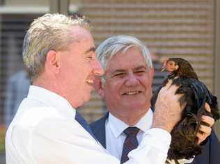 PAGE MP Kevin Hogan with Minister for Aged Care Ken Wyatt and 'Mischief'. Picture: Adam Hourigan