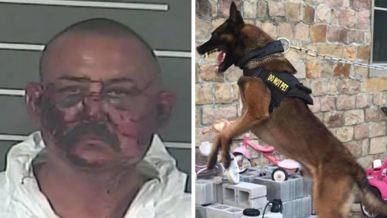 Fusillade au Kentucky: Lance Storz arrêté après la mort de trois policiers et d’un chien