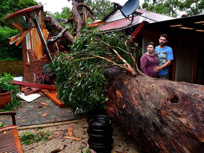 28/12/2016 Storm damage — A large tree fell onto a newly decorated babies room on Orontes Avenue Bridgewater a shocked expecting Shane and Emma Tilgals survey the damage. Picture Mark Brake