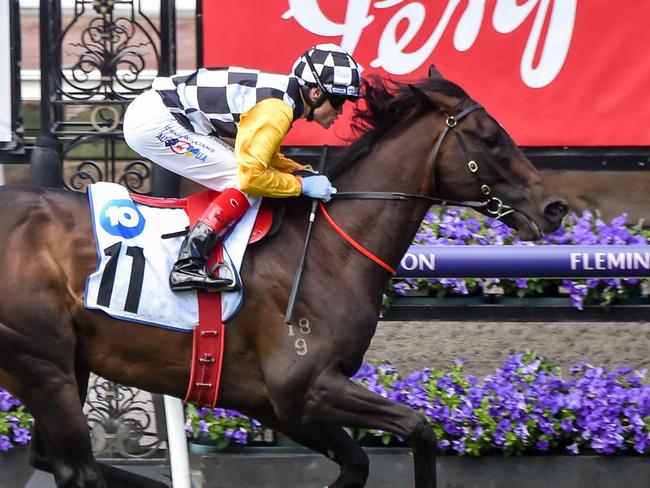 Perfect Thought ridden by Craig Williams wins the Network 10 Carbine Club Stakes at Flemington Racecourse on October 29, 2022 in Flemington, Australia. (Photo by Reg Ryan/Racing Photos via Getty Images)