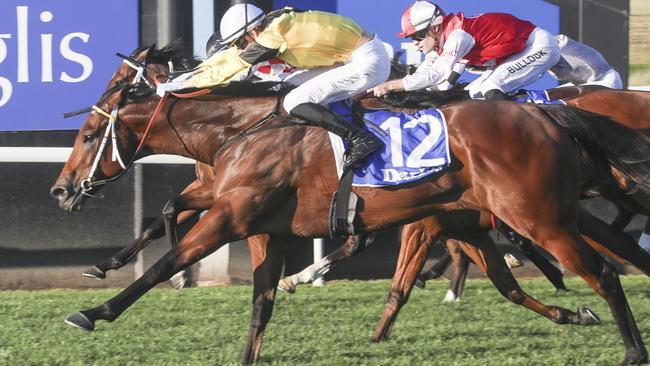 Sky Lab wins Scone Cup on 17/05/2024. Picture: Bradley Photos