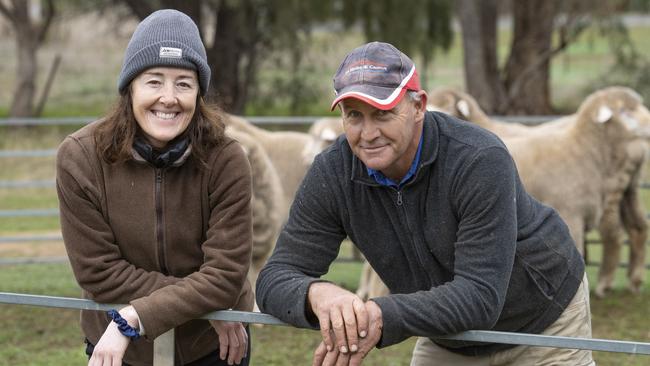 Roger and Mel Marsh and their Merino rams on farm at Avonmore. Picture: Zoe Phillips