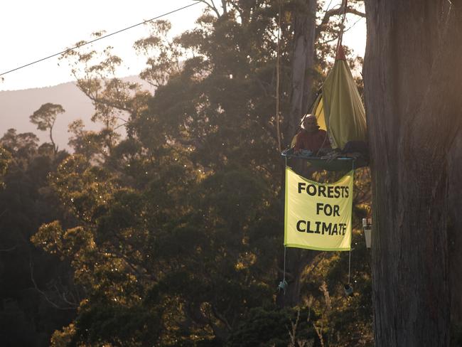 Protesters in the Tarkine by the Bob Brown Foundation, 10 February 2020. Picture: SUPPLIED