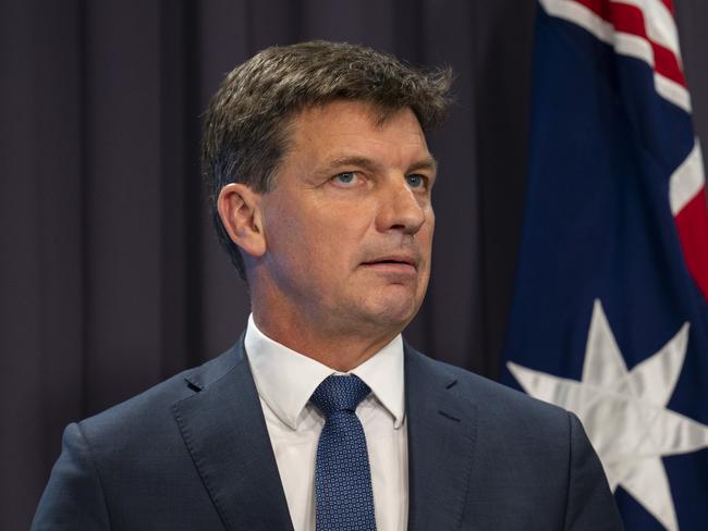 Angus Taylor, Minister for Industry, Energy and Emissions Reduction. Picture: NCA NewsWire / Martin Ollman