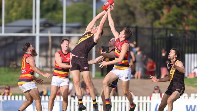 Toby Pink takes a strong mark for Glenelg against Adelaide at the Bay in Round 8. Picture: Cory Sutton