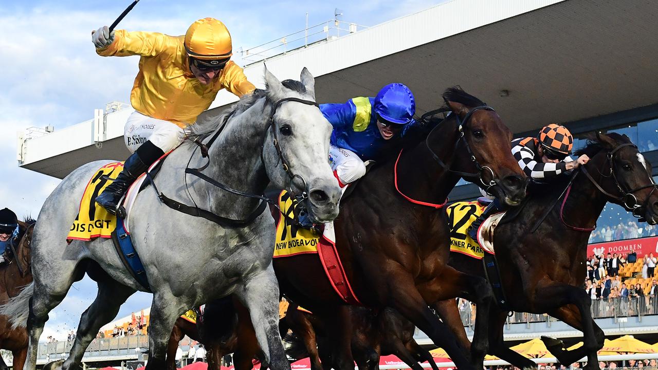 New Endeavour (blue silks) falls short behind Bois D’Argent in last year’s Doomben Cup. Picture: Grant Peters/Trackside Photography