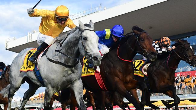 New Endeavour (blue silks) falls short behind Bois D’Argent in last year’s Doomben Cup. Picture: Grant Peters/Trackside Photography