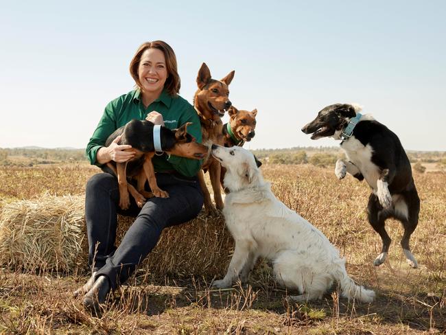 Pooch-power … Lisa Millar, host of ABC’s Muster Dogs and author of HarperCollins book Muster Dogs: From Pups To Pros.