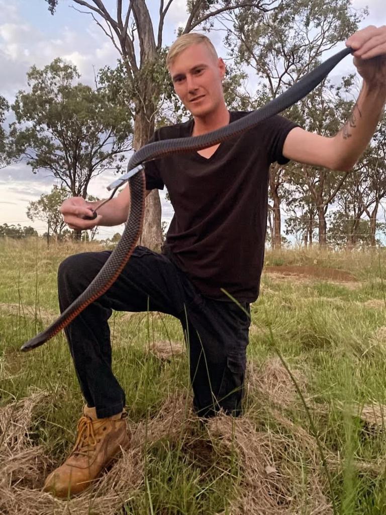 Western Downs snake catcher Jackson Burgess found a high number of eastern brown and red belly black snakes