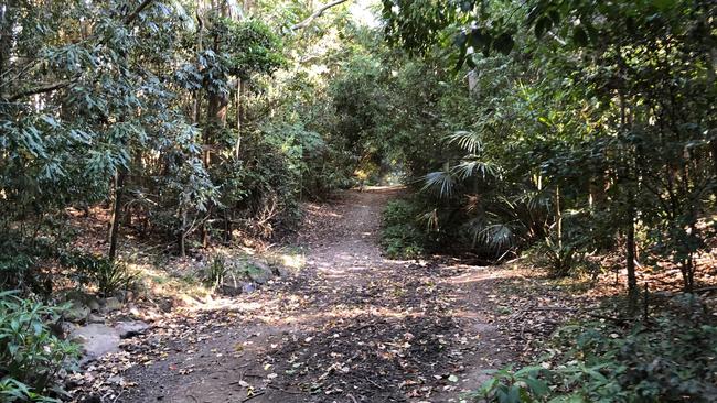 The park soon winds its way through a wide trail before branching off into two small bush tracks. Picture: Amanda Robbemond